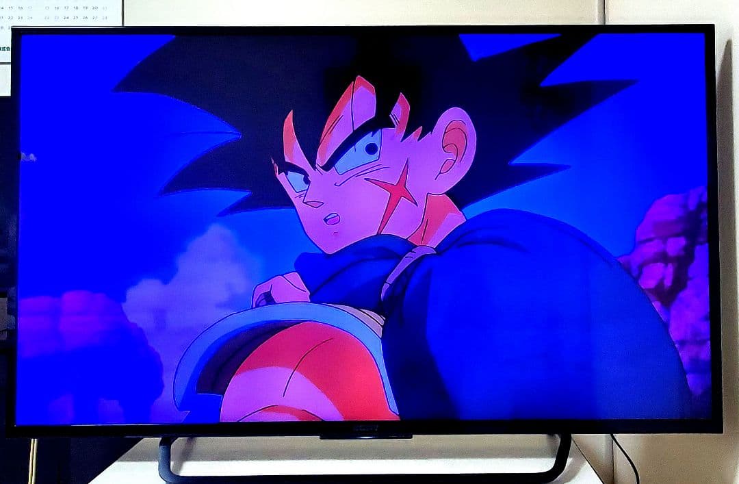 SONY BRAVIAソニー液晶テレビ 49V型KJ-49X8000C