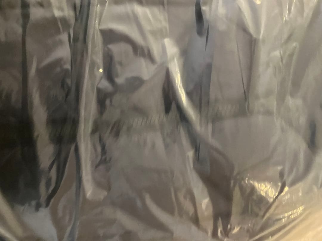 ゴールドウインパーテックスカンタムダウンベスト