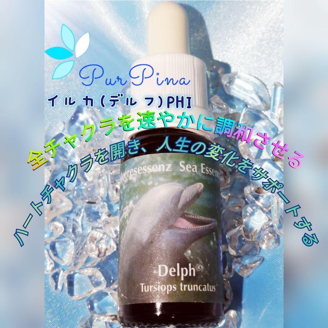 【専用】アバンド『豊かさ』　オーストラリアンブッシュ　フラワーエッセンス　他