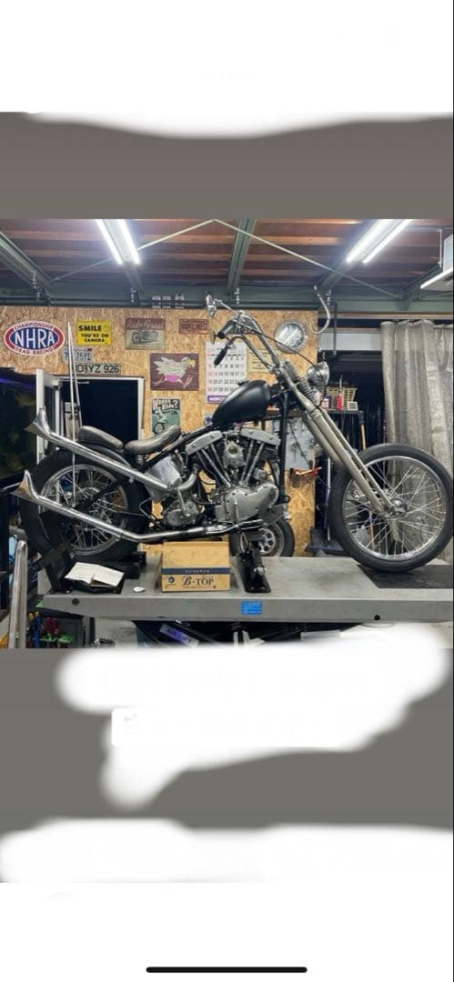 フィッシュマフラー