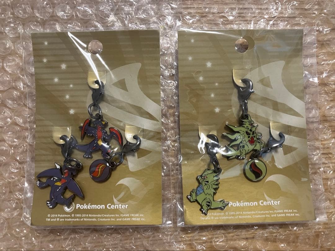 いこ　メガ進化メタルチャーム