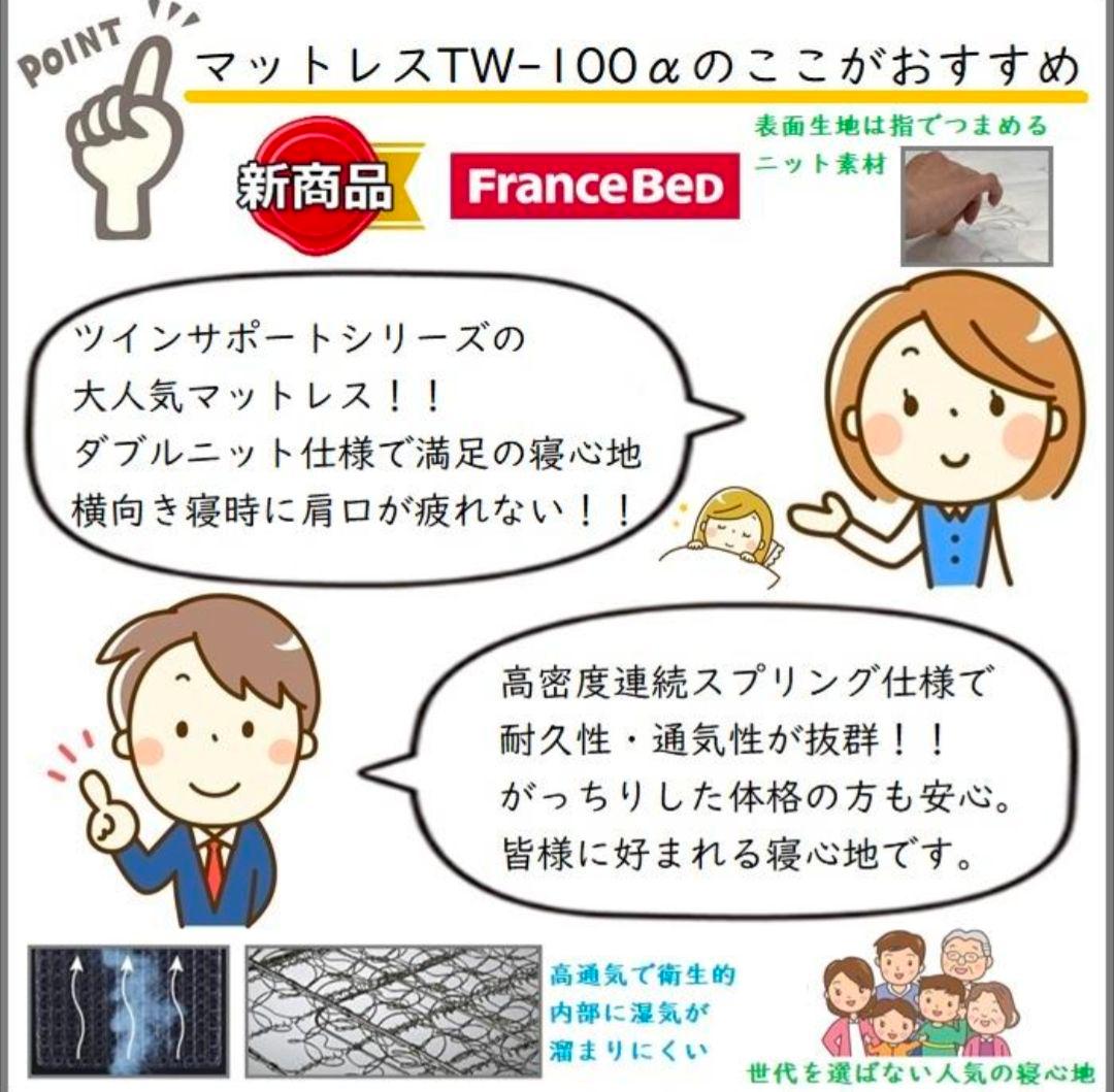 特価中【美品 配送料込】フランスベッド TW-100α ダブルマットレス
