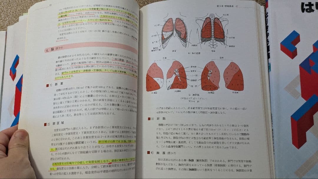 鍼灸教科書セット