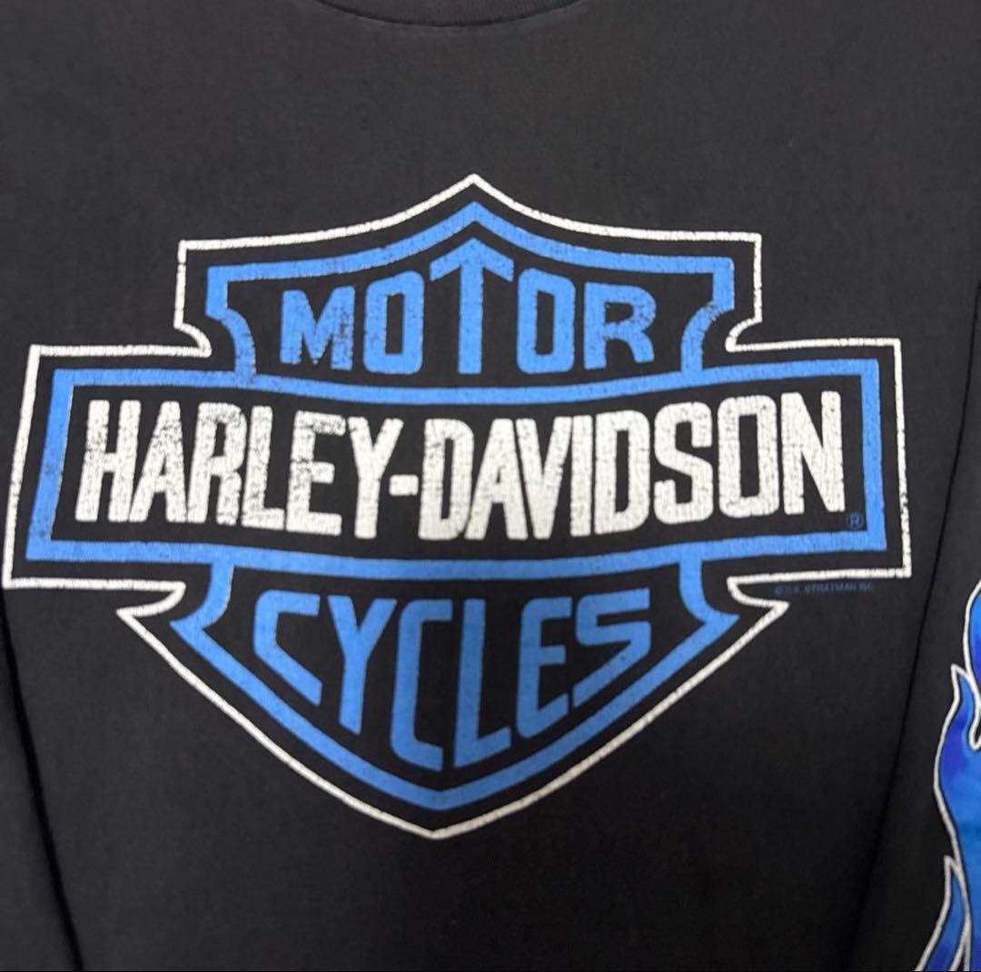 Harley-Davidson ロンT　ハーレーダビッドソン　ブルーフレイム