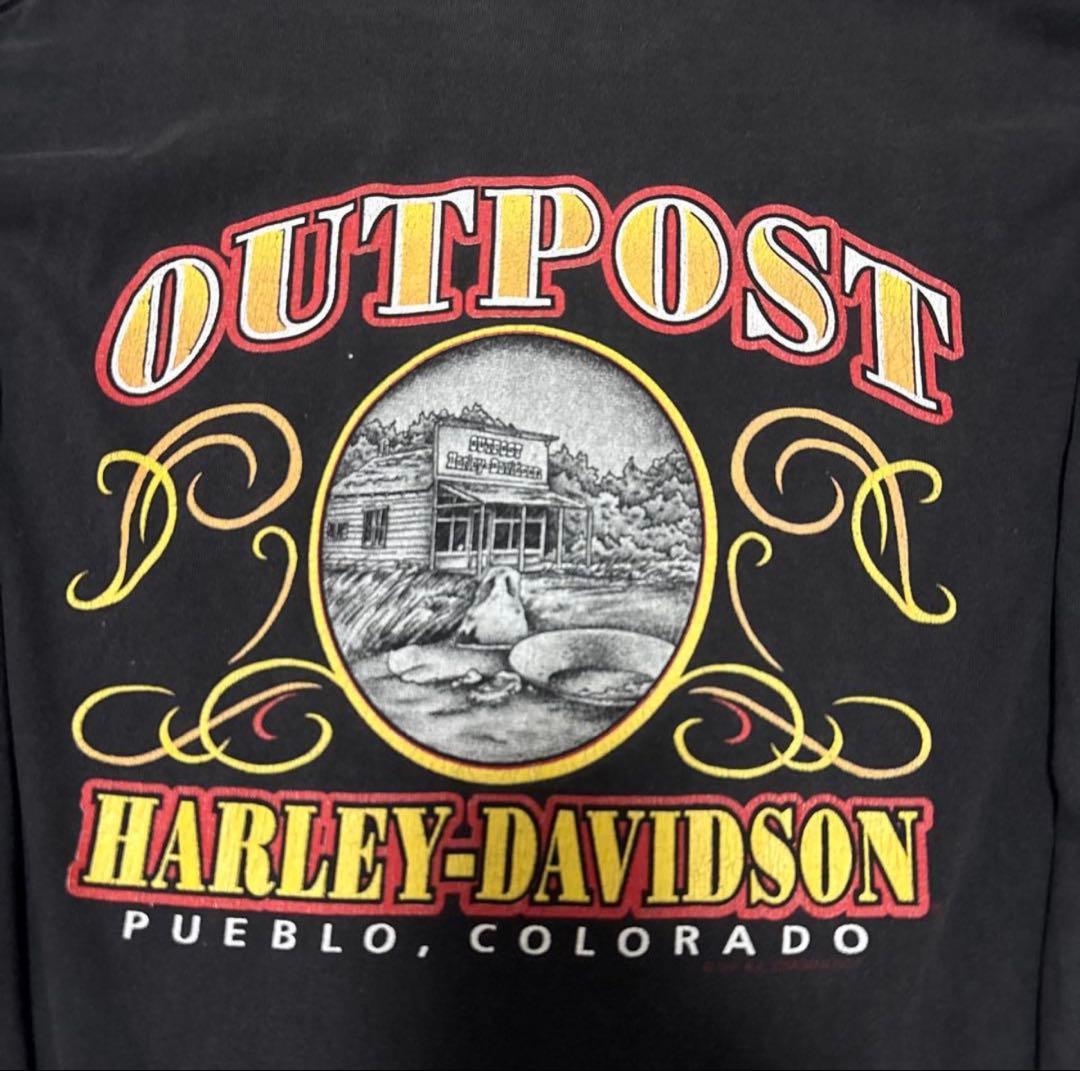 Harley-Davidson ロンT　ハーレーダビッドソン　ブルーフレイム