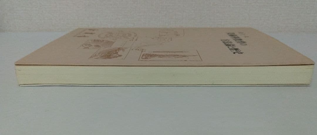 美術科教育の方法論と歴史 金子一夫著