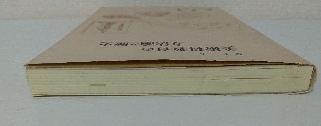 美術科教育の方法論と歴史 金子一夫著