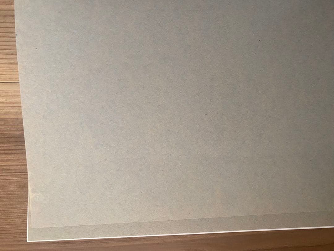 Alvar Aalto Second Nature もうひとつの自然 日本語版