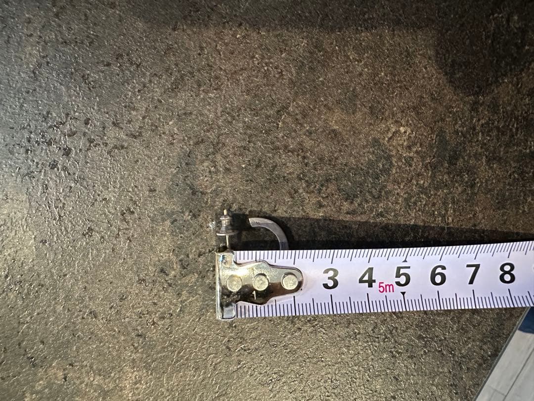 e*4様 CAREERING×NEIGHBORHOOD リングピアス