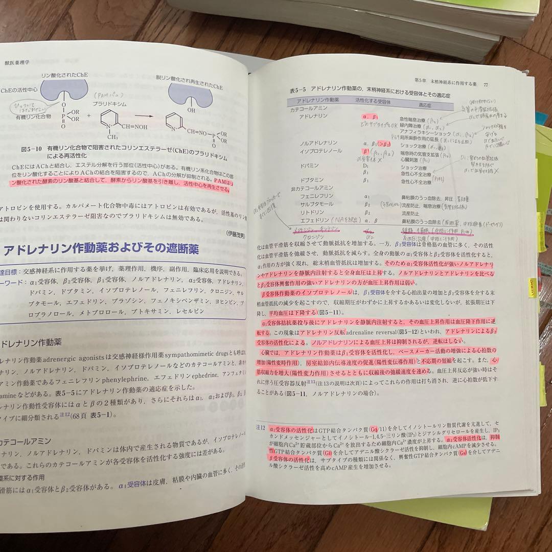獣医教科書 バラ売り可 1冊 1000円 まとめ買いでお得