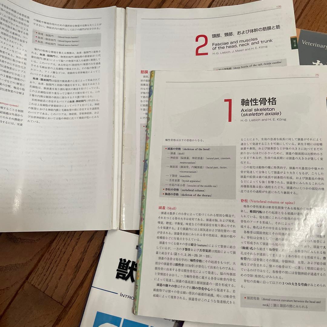 獣医教科書 バラ売り可 1冊 1000円 まとめ買いでお得