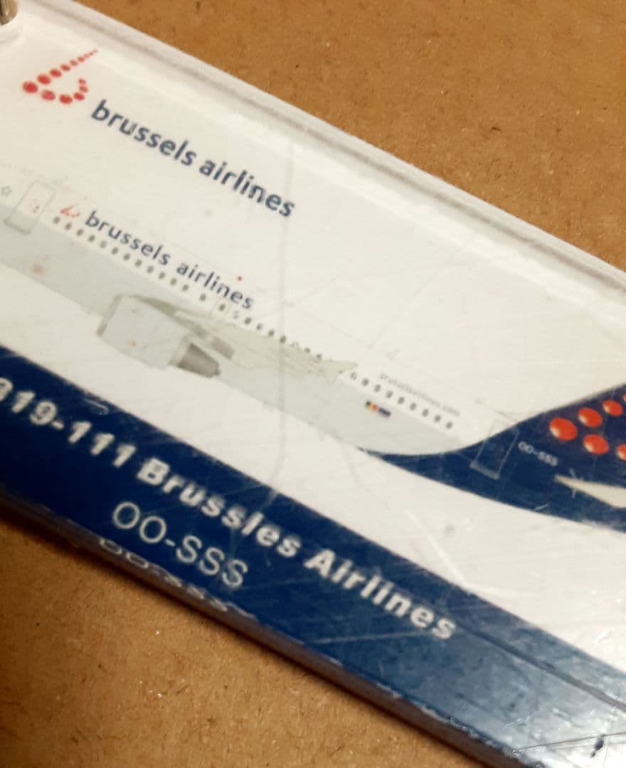 日本に馴染みはありませんが…ブリュッセル航空 エアバス A319