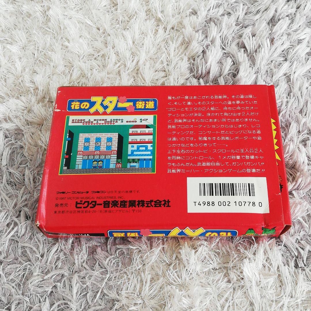 花のスター街道