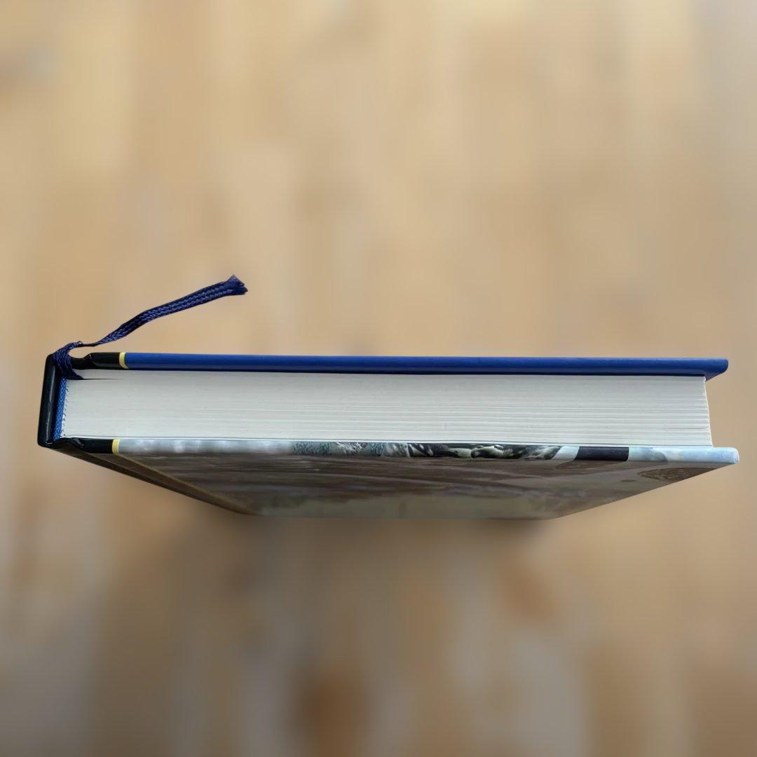 【極美品】MAMORU MANIA 永野護