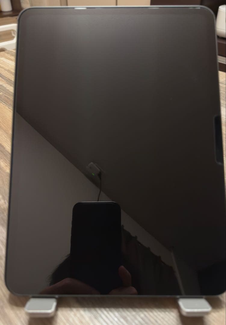 超美品iPad Pro M4 11インチ WiFi 256GB スペースブラック