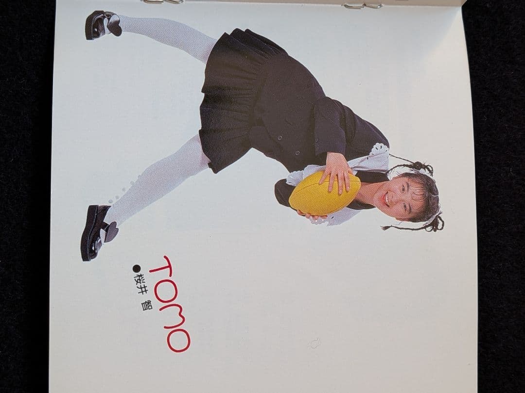 レモンエンジェル　アルバム　2nd BOYS TOY 桜井智　絵本美希　島えりか