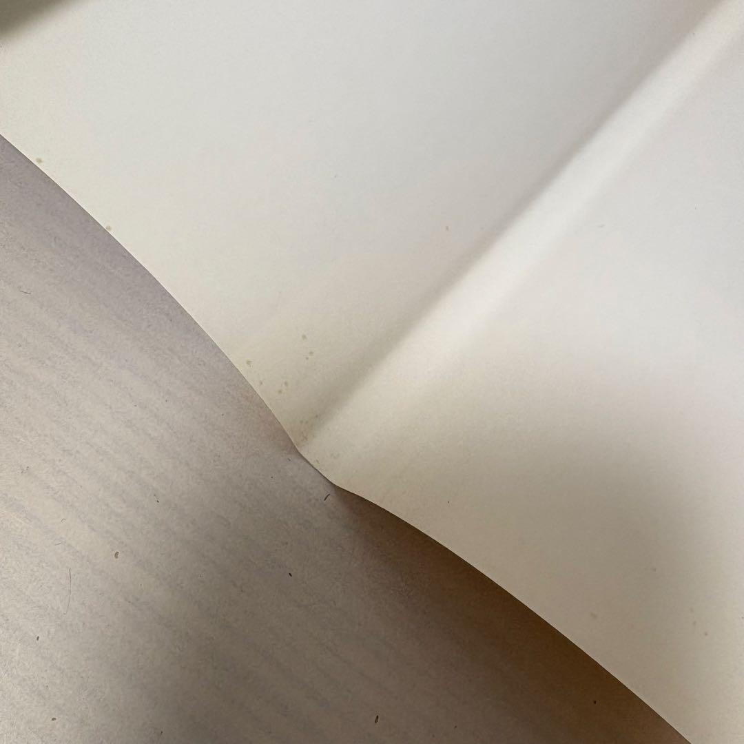 【絶版希少美品】4冊セット★デュケノワ なかよしおばけシリーズ