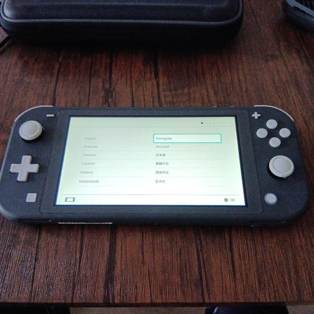 【値下げ中】Nintendo Switch Lite ハードケース＆ケース付