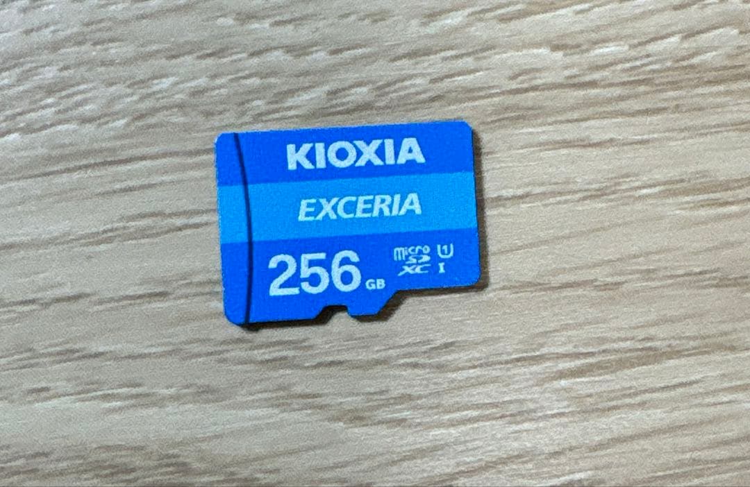 動作確認済/美品】Nintendo Switch Lite グレー　本体