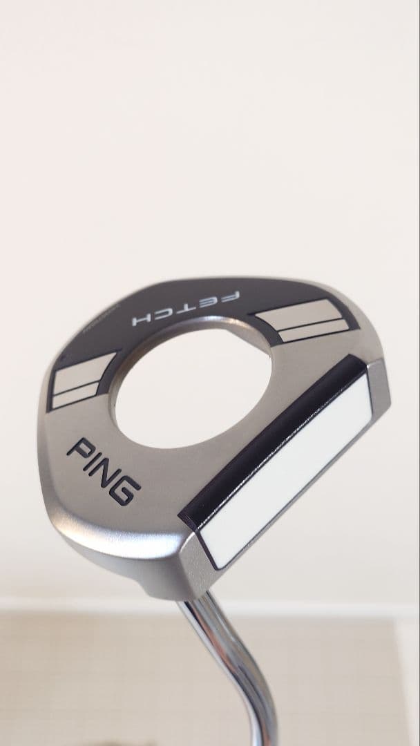 ピンＰＩＮＧ　ＦＥＴＣＨ（２０２４）　３４インチ