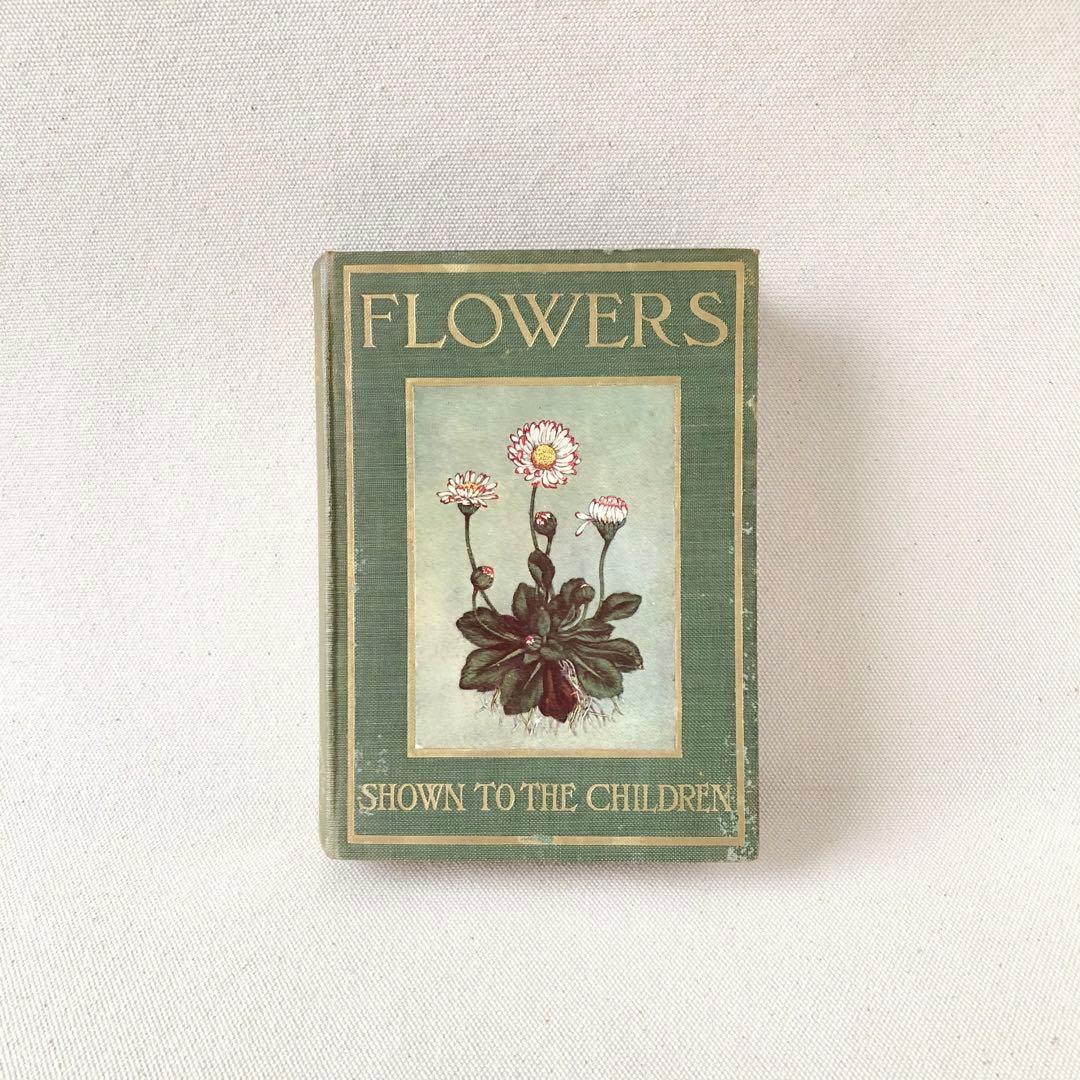 1900年代初期版！ イギリスの希少なアンティーク植物図鑑　花の図鑑