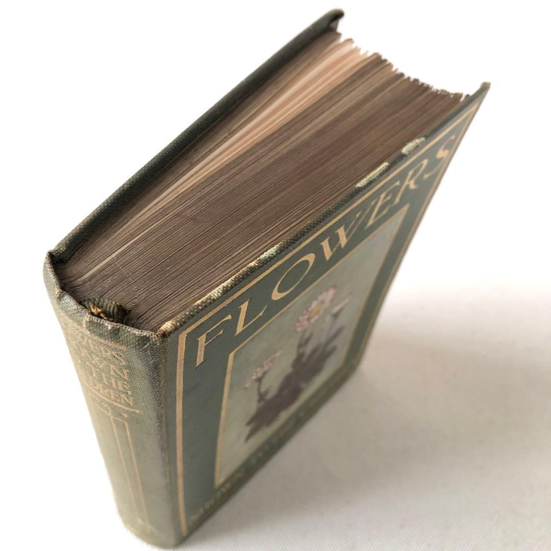 1900年代初期版！ イギリスの希少なアンティーク植物図鑑　花の図鑑