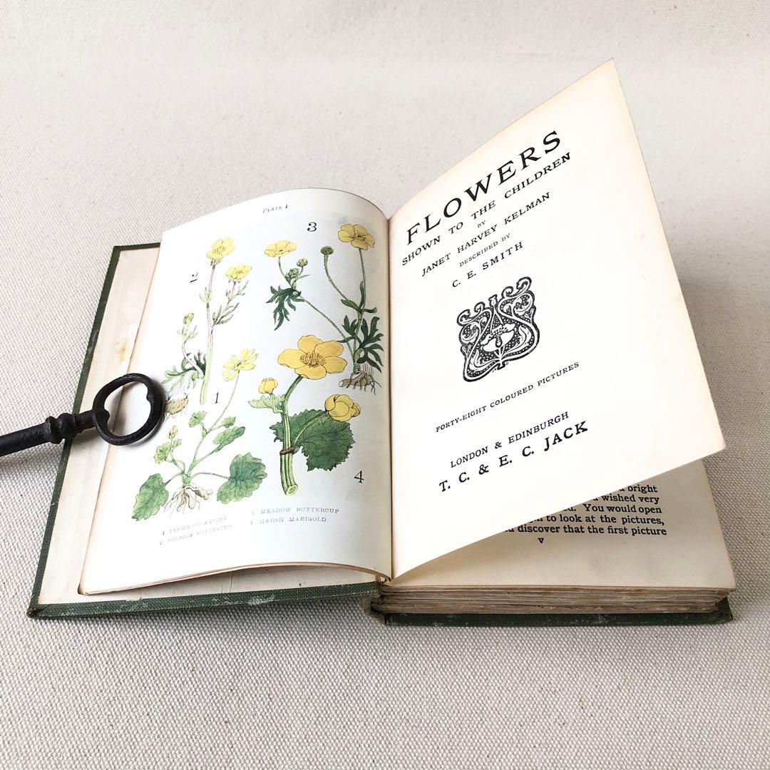 1900年代初期版！ イギリスの希少なアンティーク植物図鑑　花の図鑑