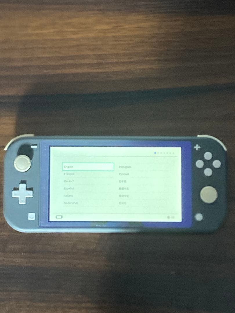 Nintendo Switch Lite グレー 充電器付き 箱付き ケース付属
