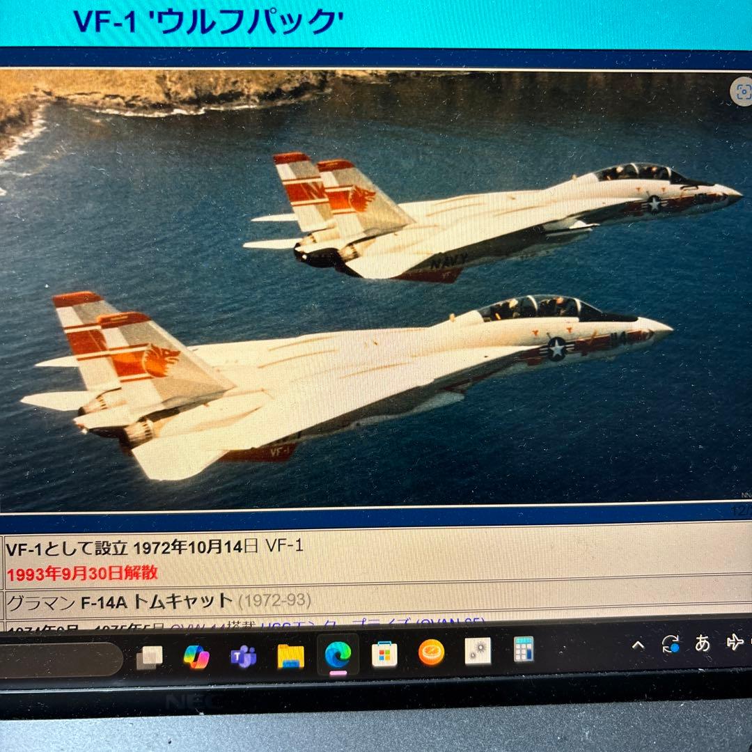 戦闘機　ヘルメット　Ｆ-14トムキャット　ＶＦ1 ウルフパック　実物ヘルメット