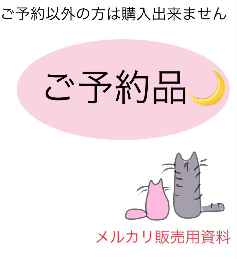 バスガイド資料・テキスト・教本【ご予約の方以外、購入出来ません】