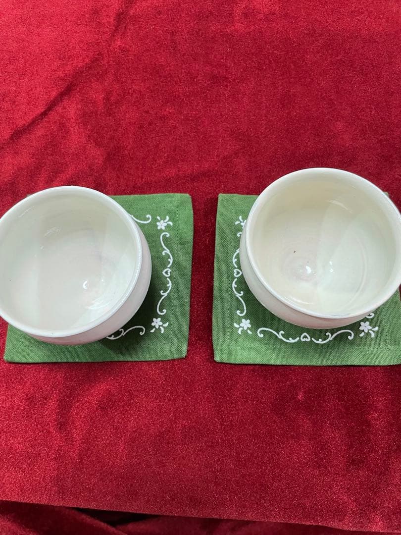 鈴木環　ピジョンカップ