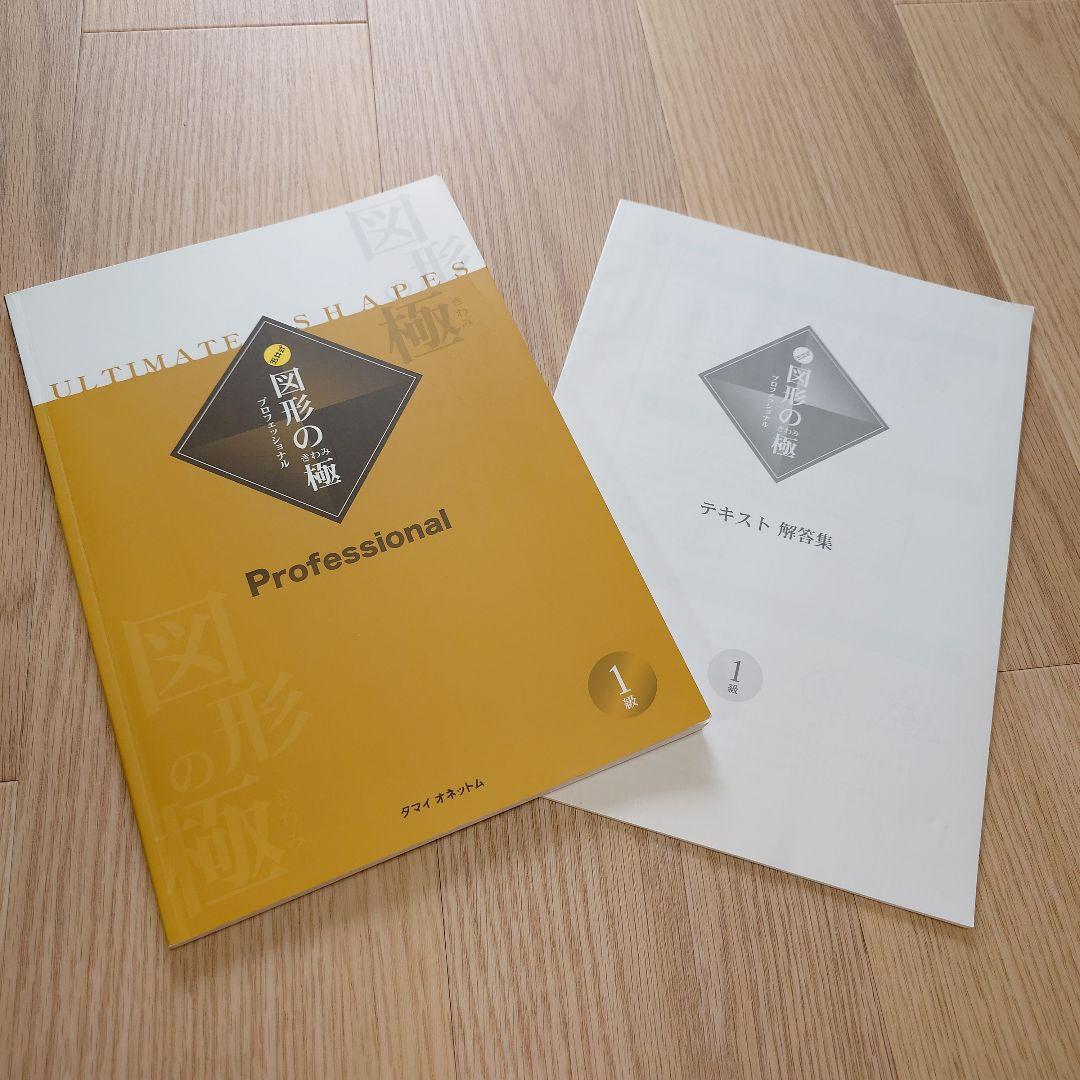 【未使用】玉井式　図形の極み　1級 中学受験 図形