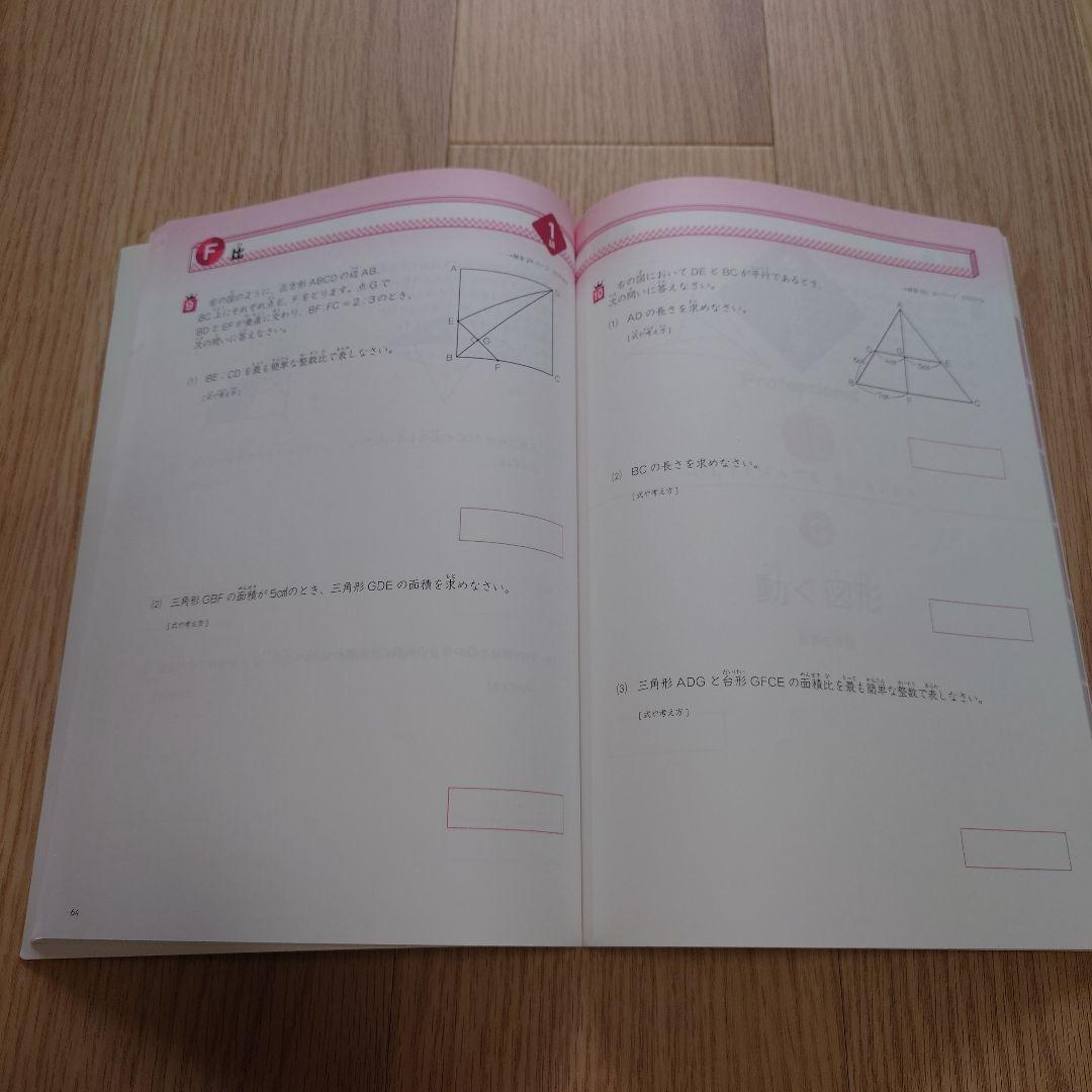 【未使用】玉井式　図形の極み　1級 中学受験 図形