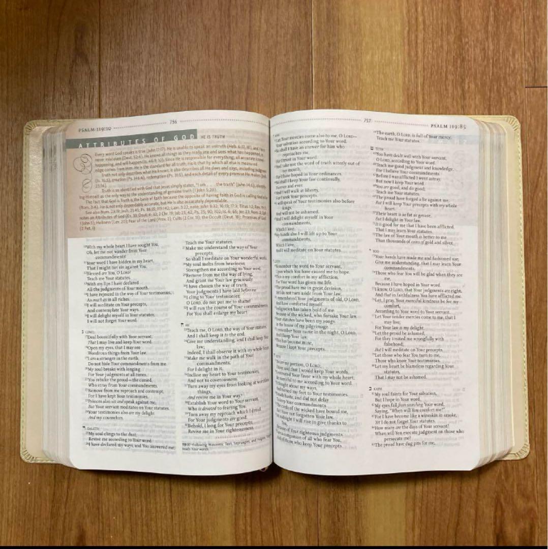 新品未使用　The Woman’s Study Bible