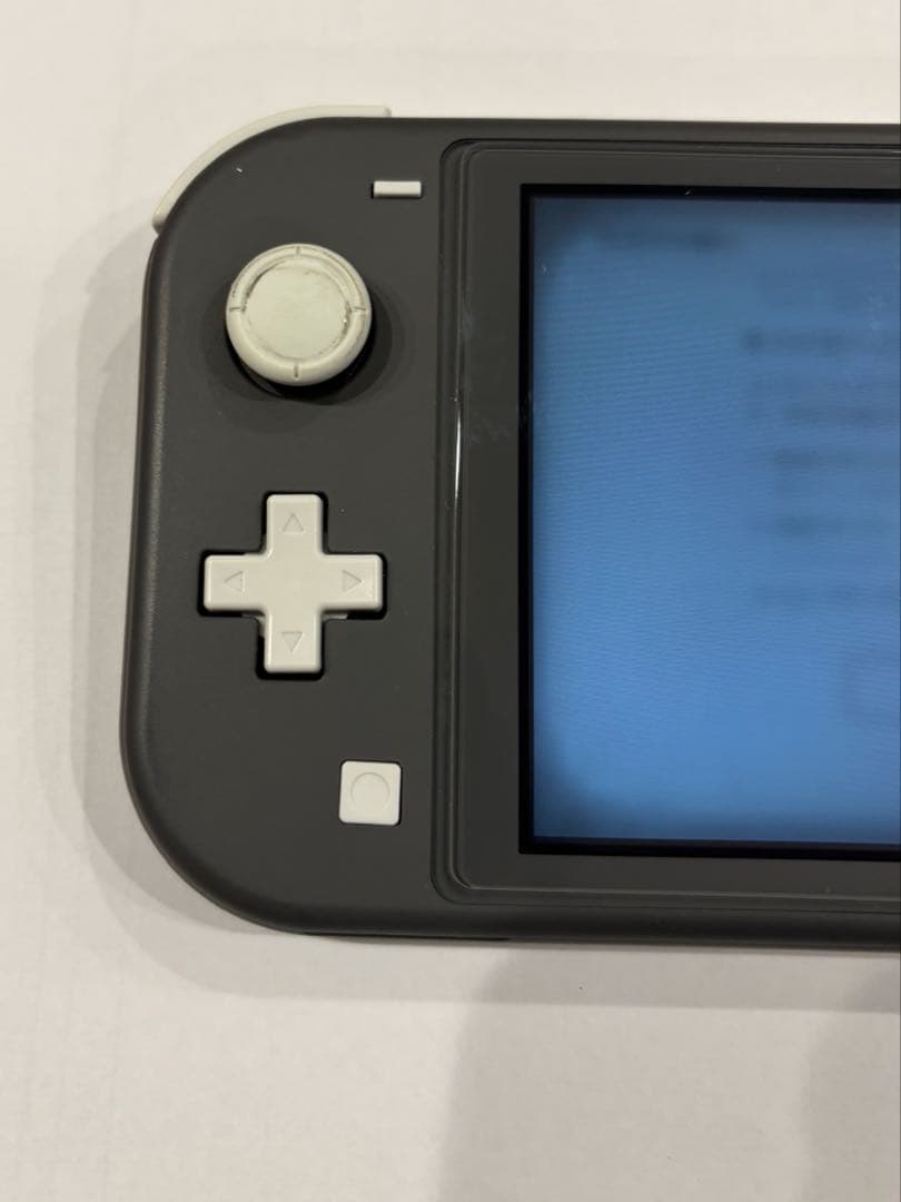 Nintendo Switch Lite本体 ACアダプターあり