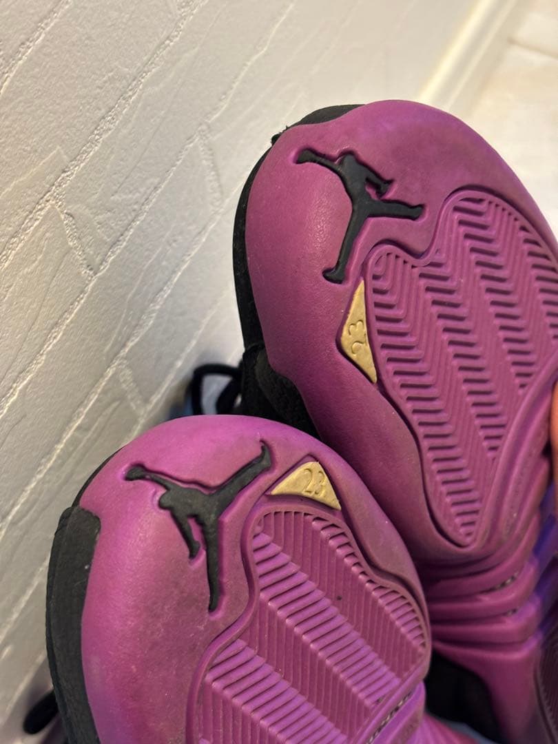 エアジョーダン12 【使用回数２回】 23.5cm