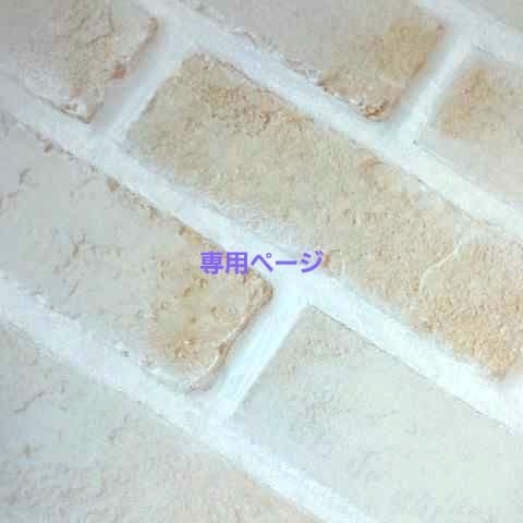 専用 ブライスアウトフィット