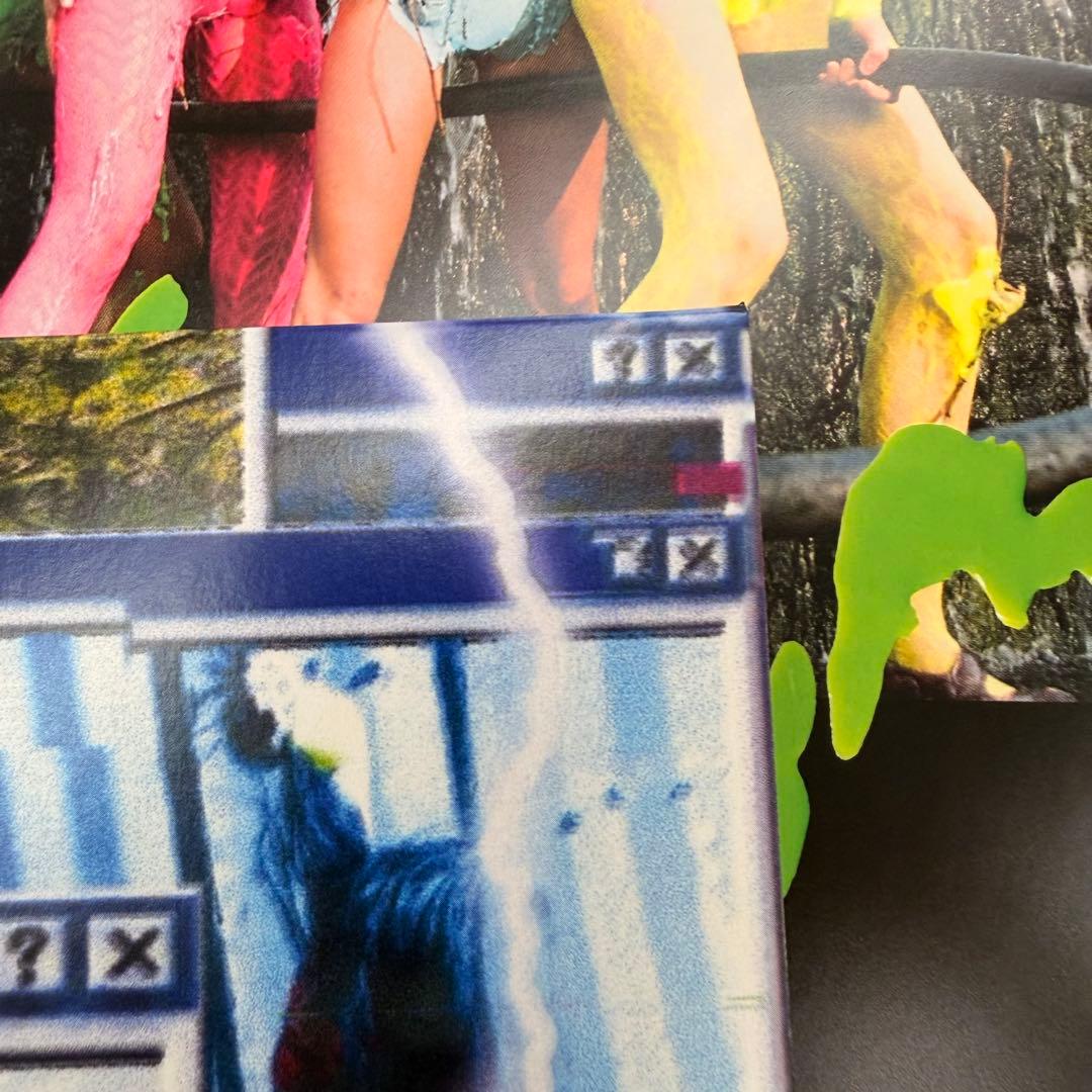 洋楽 cumgirl8 the 8th cumming vinyl record