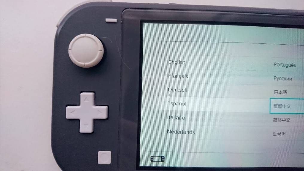 Switch　ライト　ジャンク　グレー