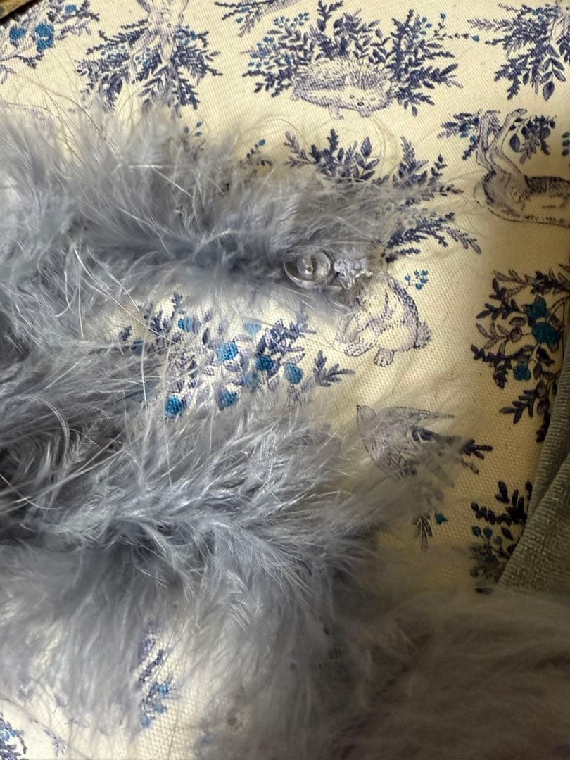 sugar ベロアセットアップフレアミニサンタ ブルー