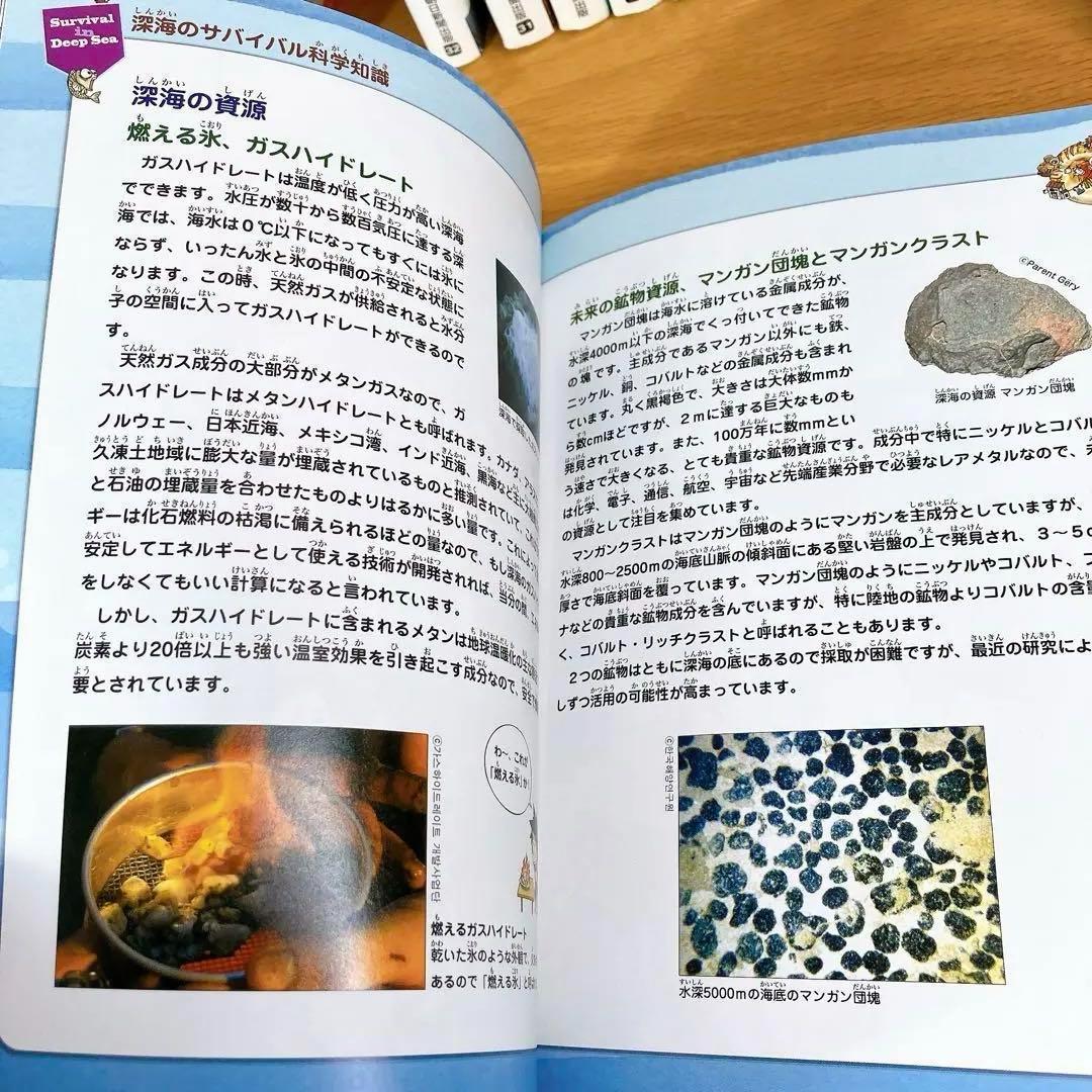 サバイバルシリーズ　25冊　かがくる　続巻多め