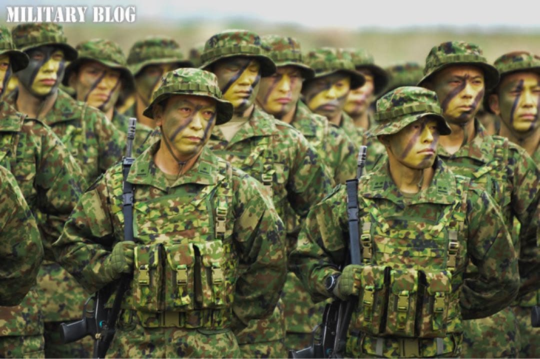 戦闘装着帯、水陸一般用 陸上自衛隊 チェストリグ タクティカルベスト　レプリカ