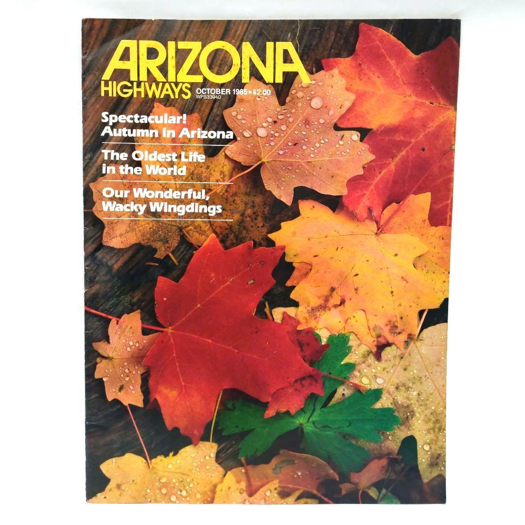 ARIZONA HIGHWAYS 1985年 1年分 アリゾナ 雑誌 アメリカ