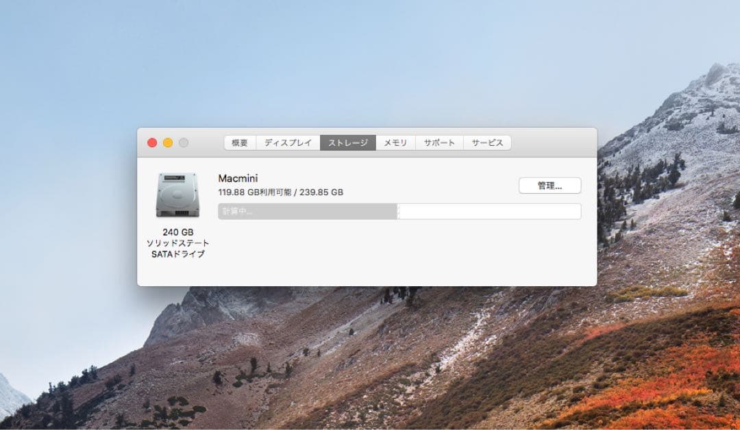 Mac mini (Mid 2011)SSD換装済み