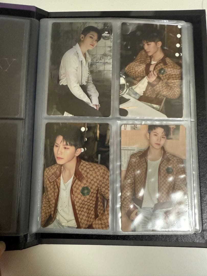 (7月末までセール)ruby ウジ　トレカ　コンプセット　ミクテ