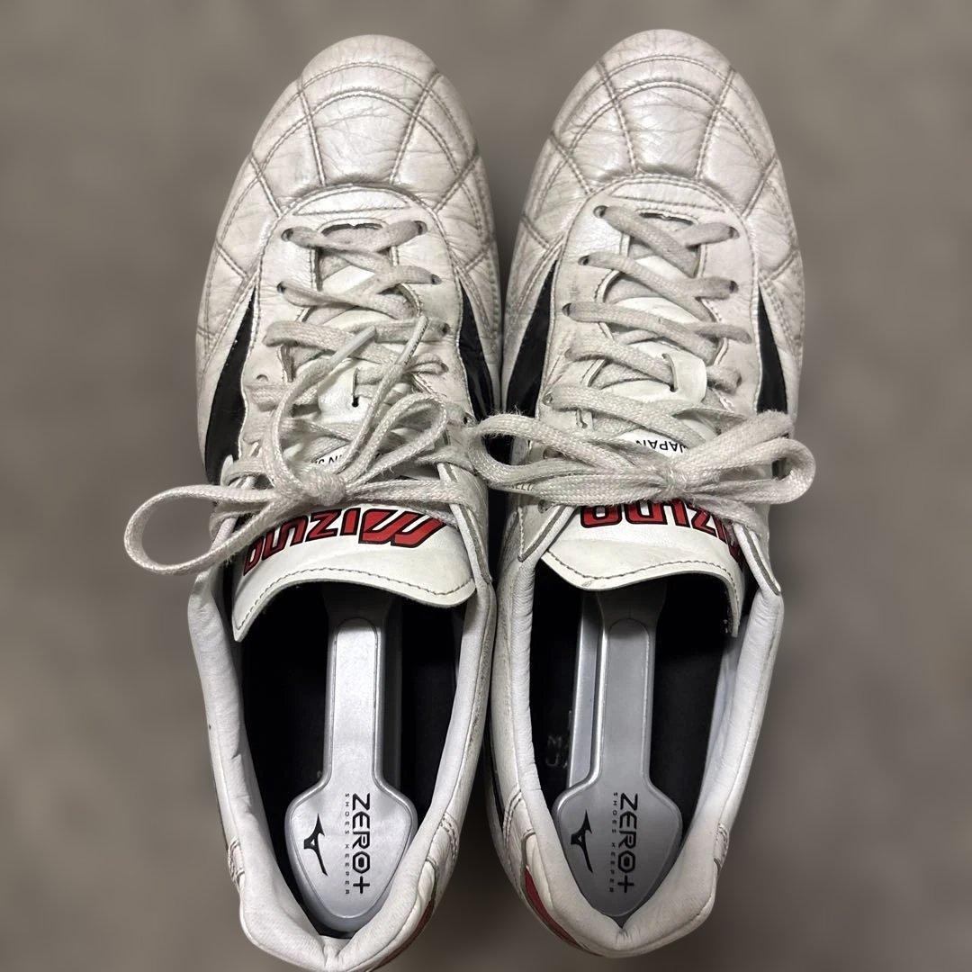 モレリア２クロスステッチ