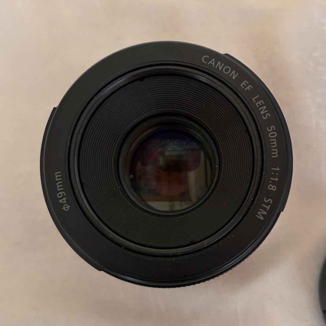 【Shin】Canon EF50mm f/1.8STM 単焦点レンズ