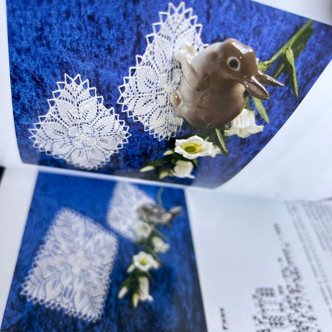 Knitted Lace 編みレースの本