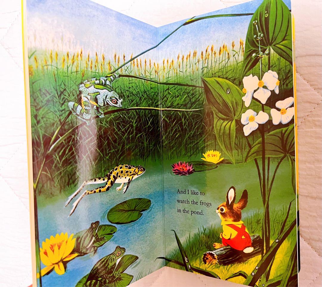 11冊セットEric Carle（エリック・カール）ボードブック絵本教材幼児向け