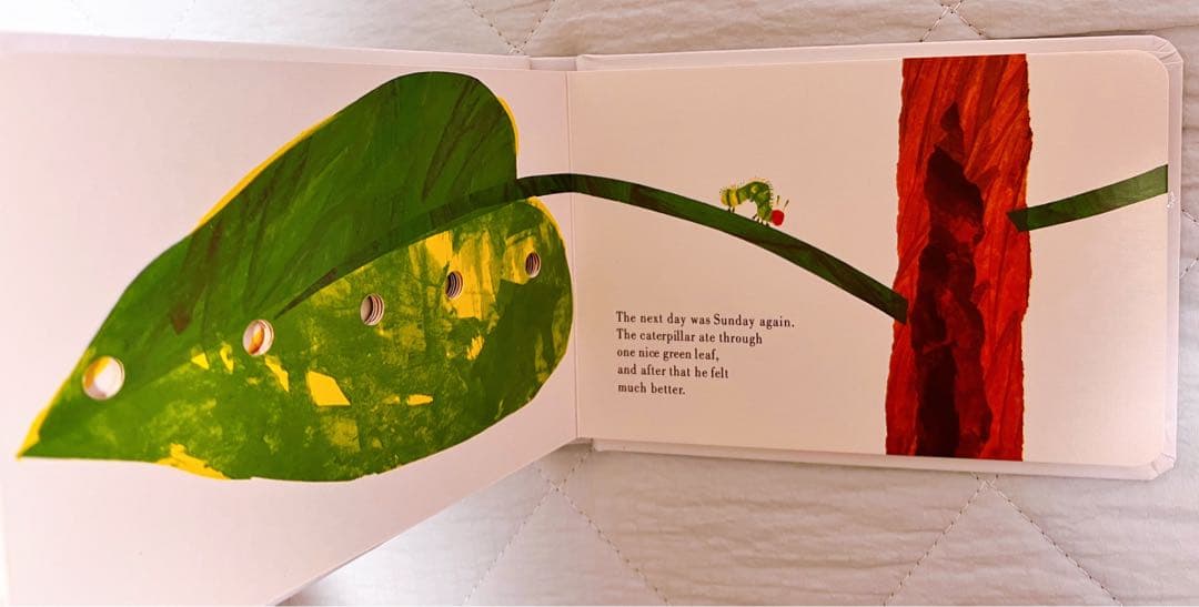 11冊セットEric Carle（エリック・カール）ボードブック絵本教材幼児向け